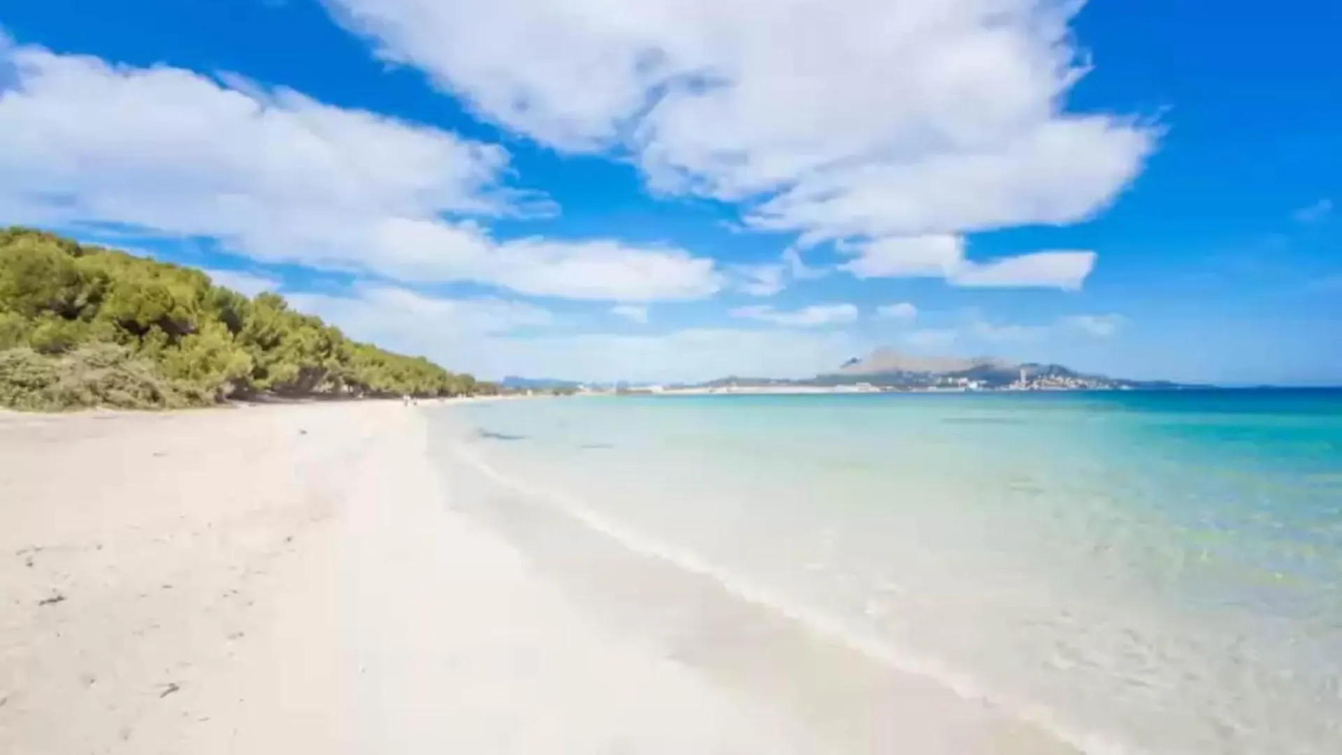 Sun Of Bay B3 - A2 - Apartment Free Wifi Port de Alcudia