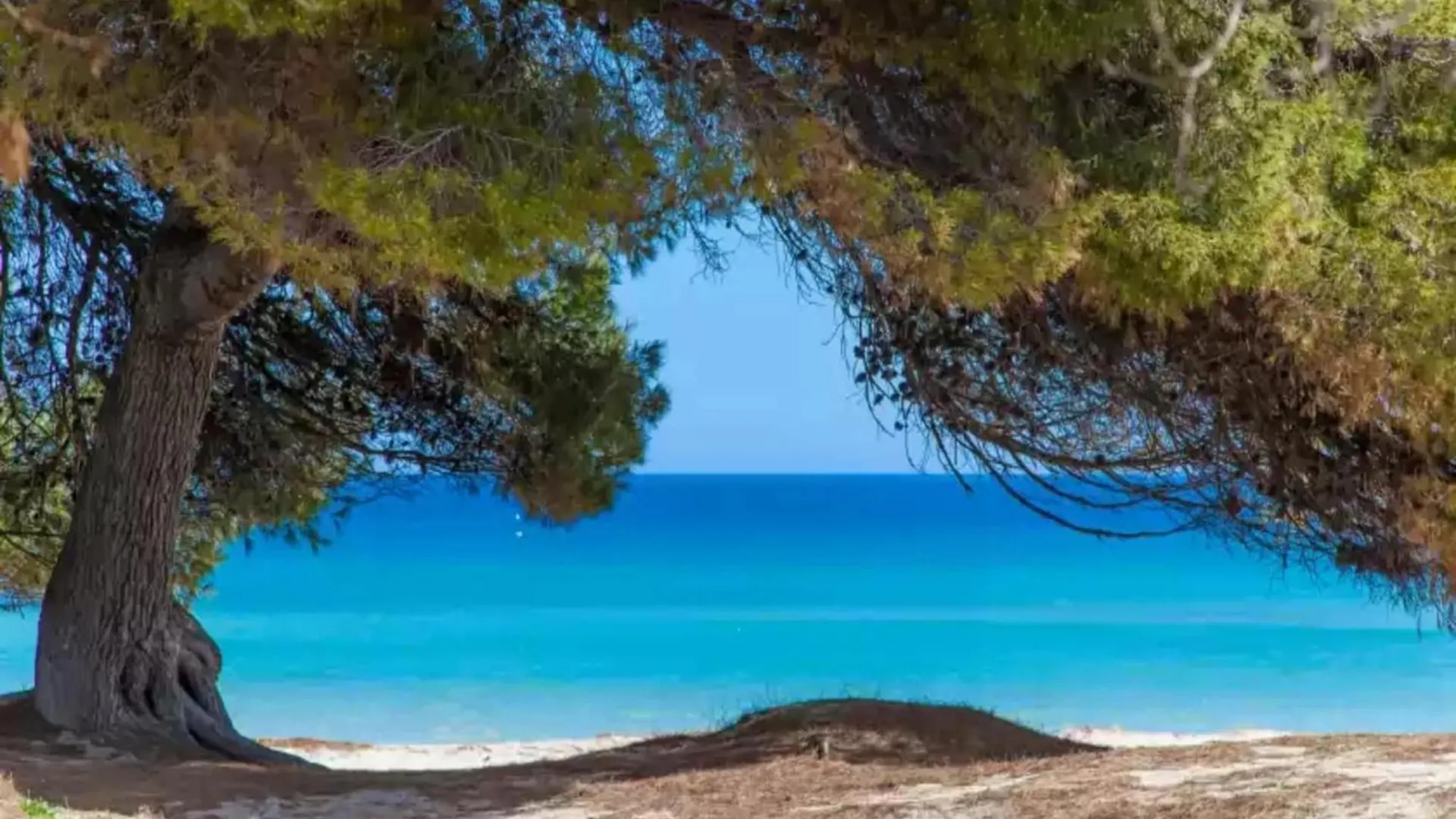 Holiday home Sun Of Bay B3 - A2 - Apartment Free Wifi Port de Alcudia